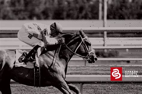 2022 world cup odds|who won the pegasus world cup 2022.